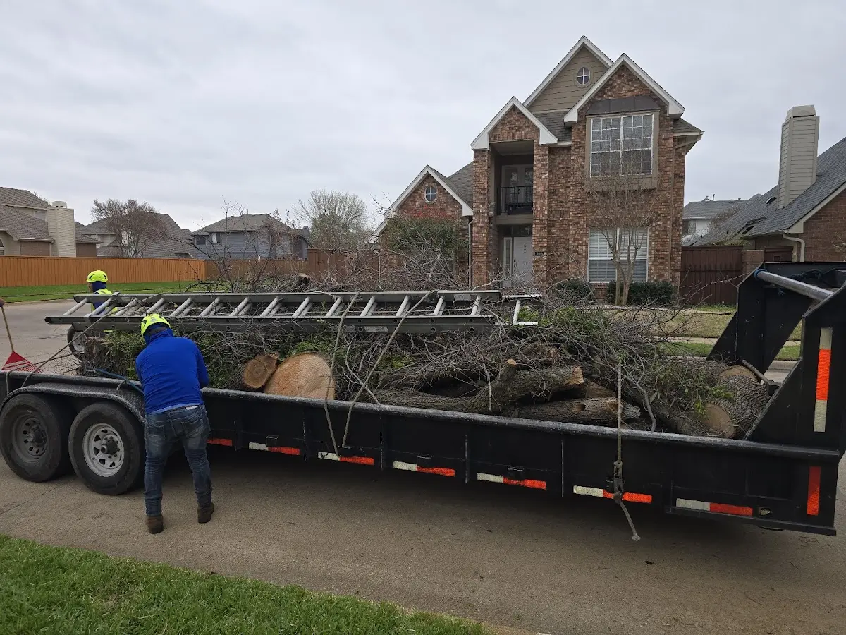 Expert Lot Clearing with proper safety equipment in Boaz